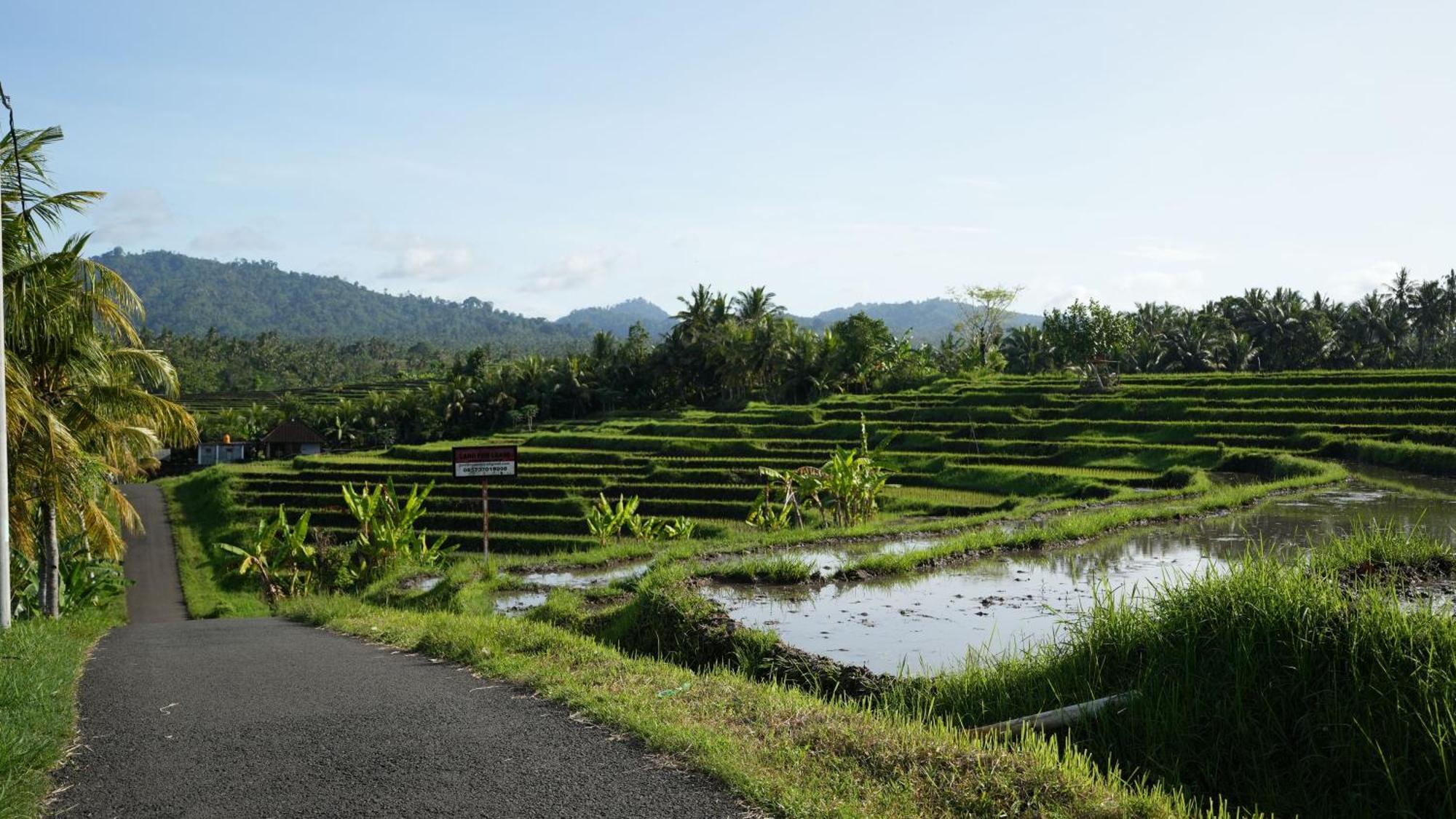 Kelapa Retreat & Spa Pulukan Ngoại thất bức ảnh